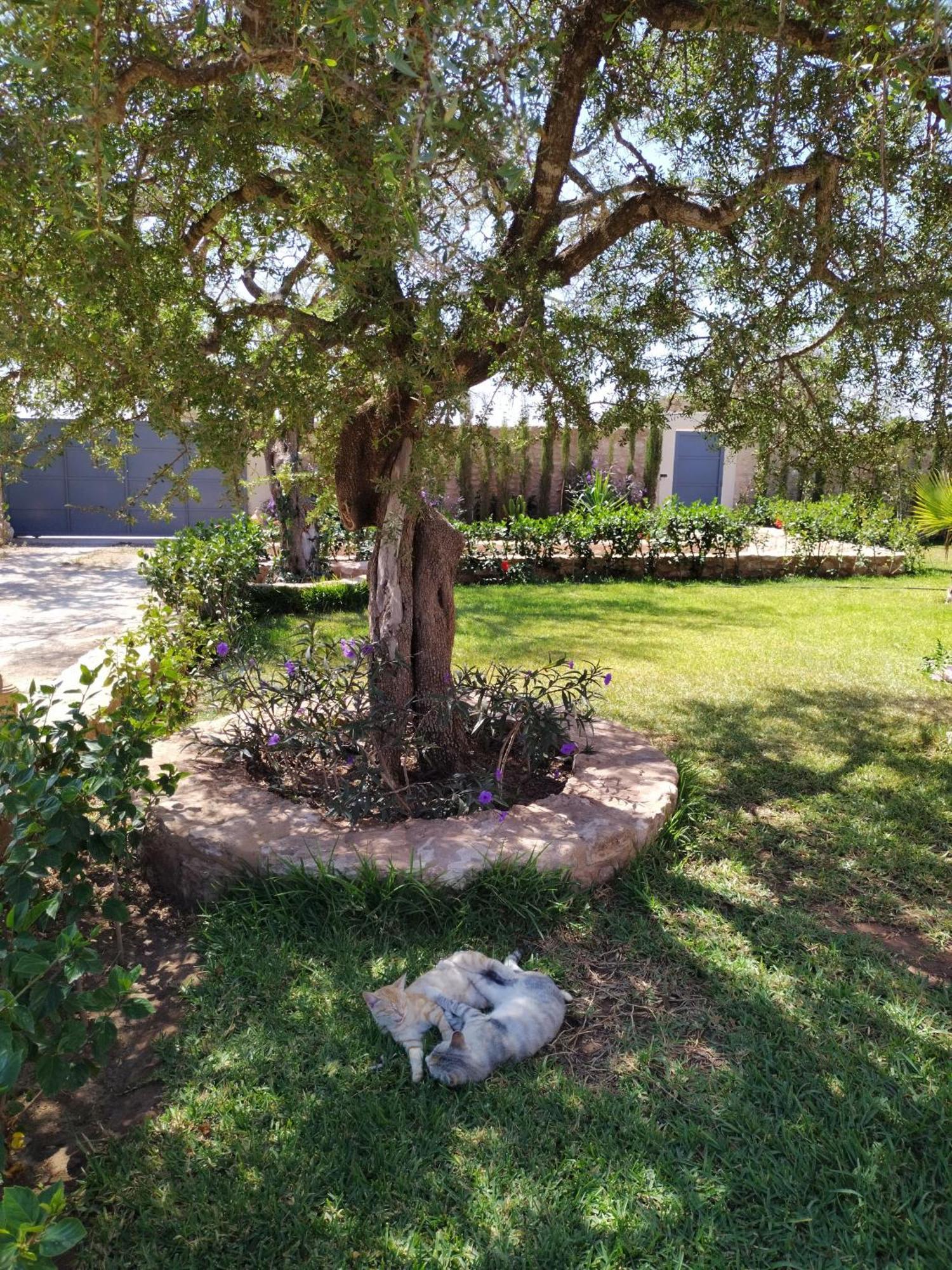 Villa Iyad Essaouira Luaran gambar