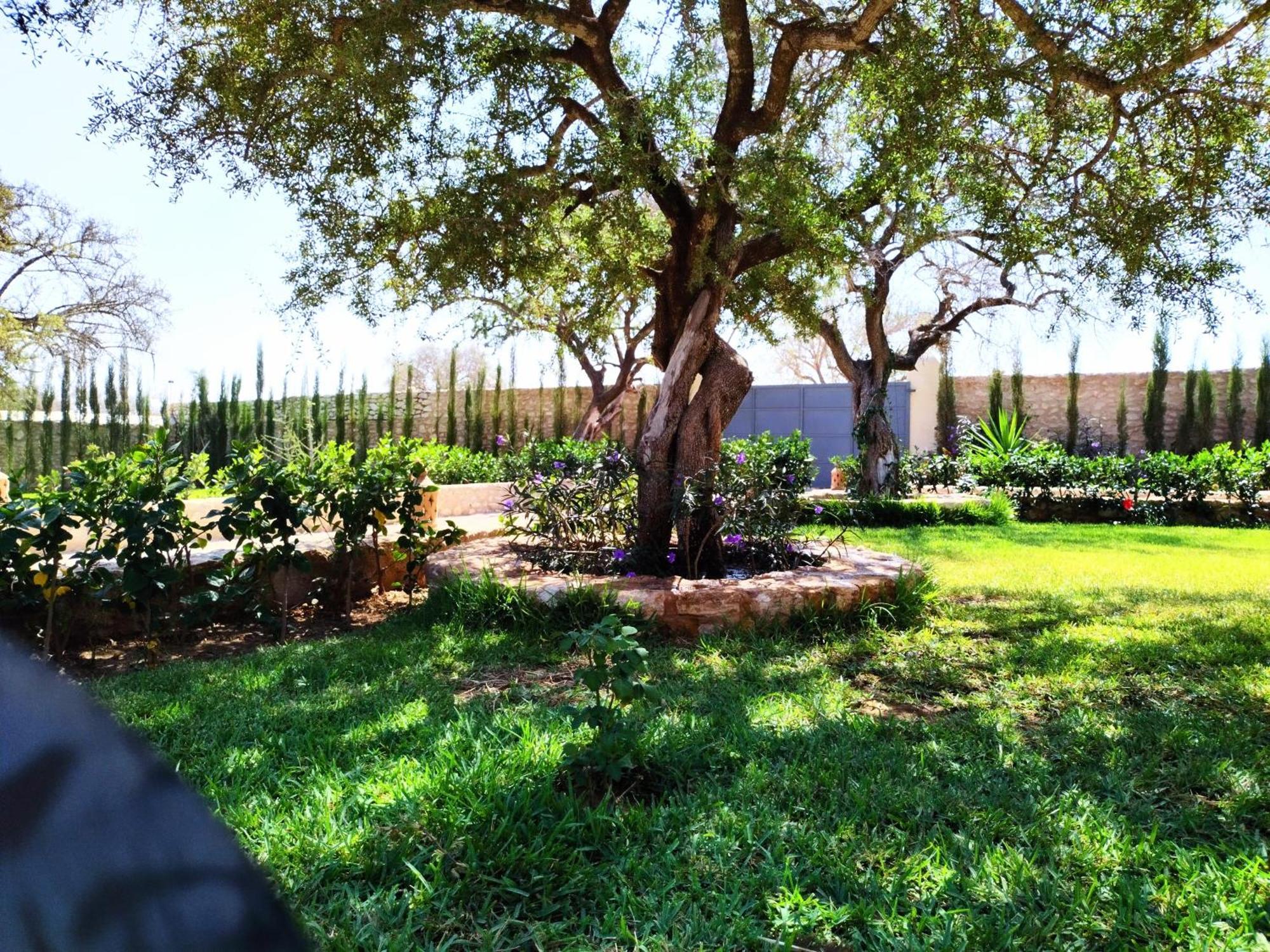 Villa Iyad Essaouira Luaran gambar