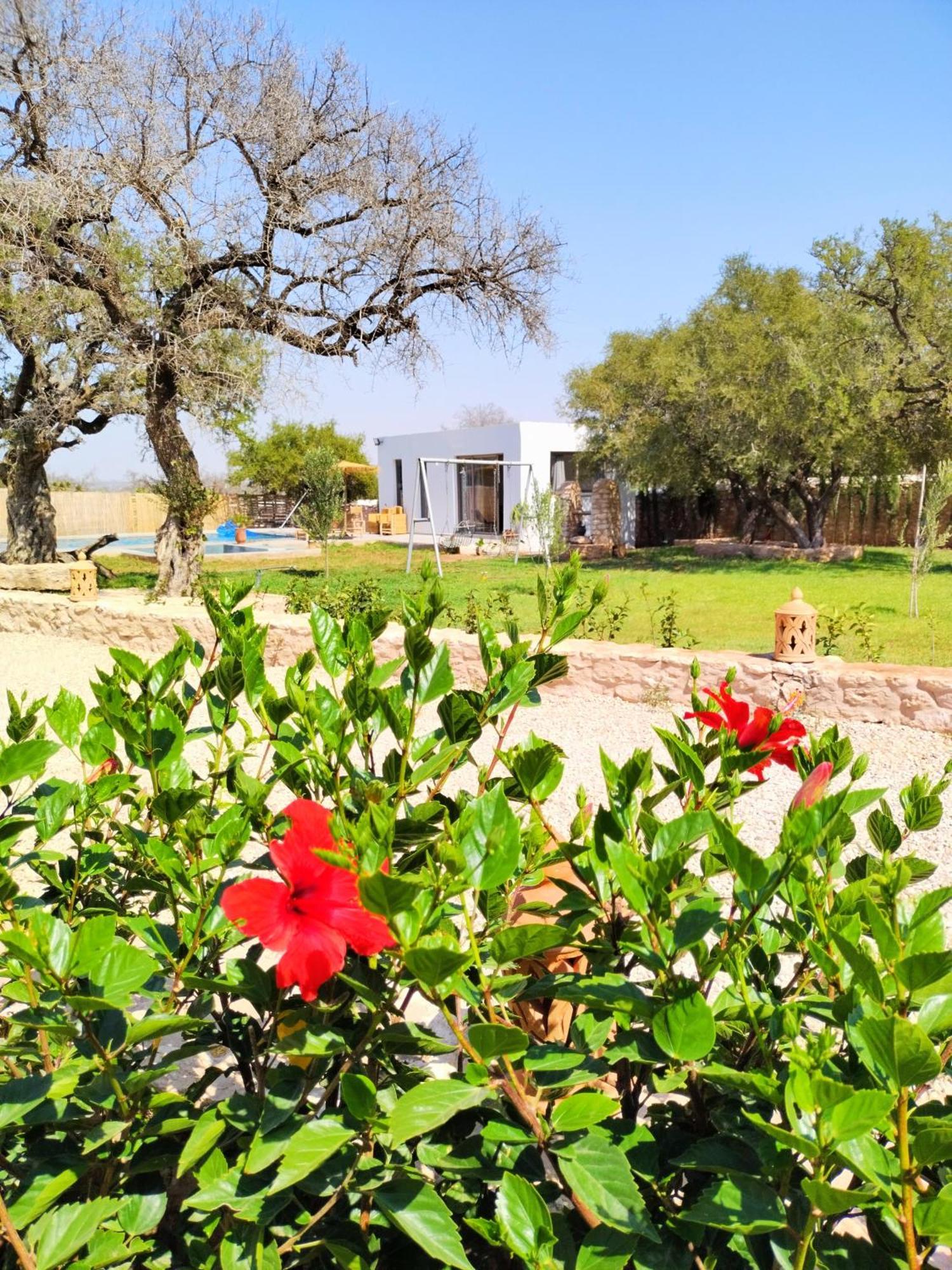 Villa Iyad Essaouira Luaran gambar